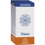 HoloRam VISION