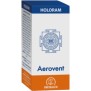 HoloRam AEROVENT