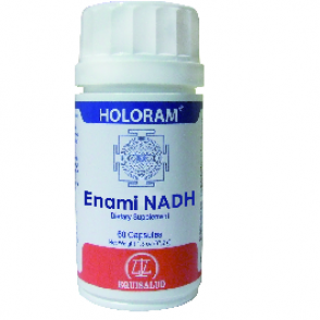 Holoram_Enami NADH